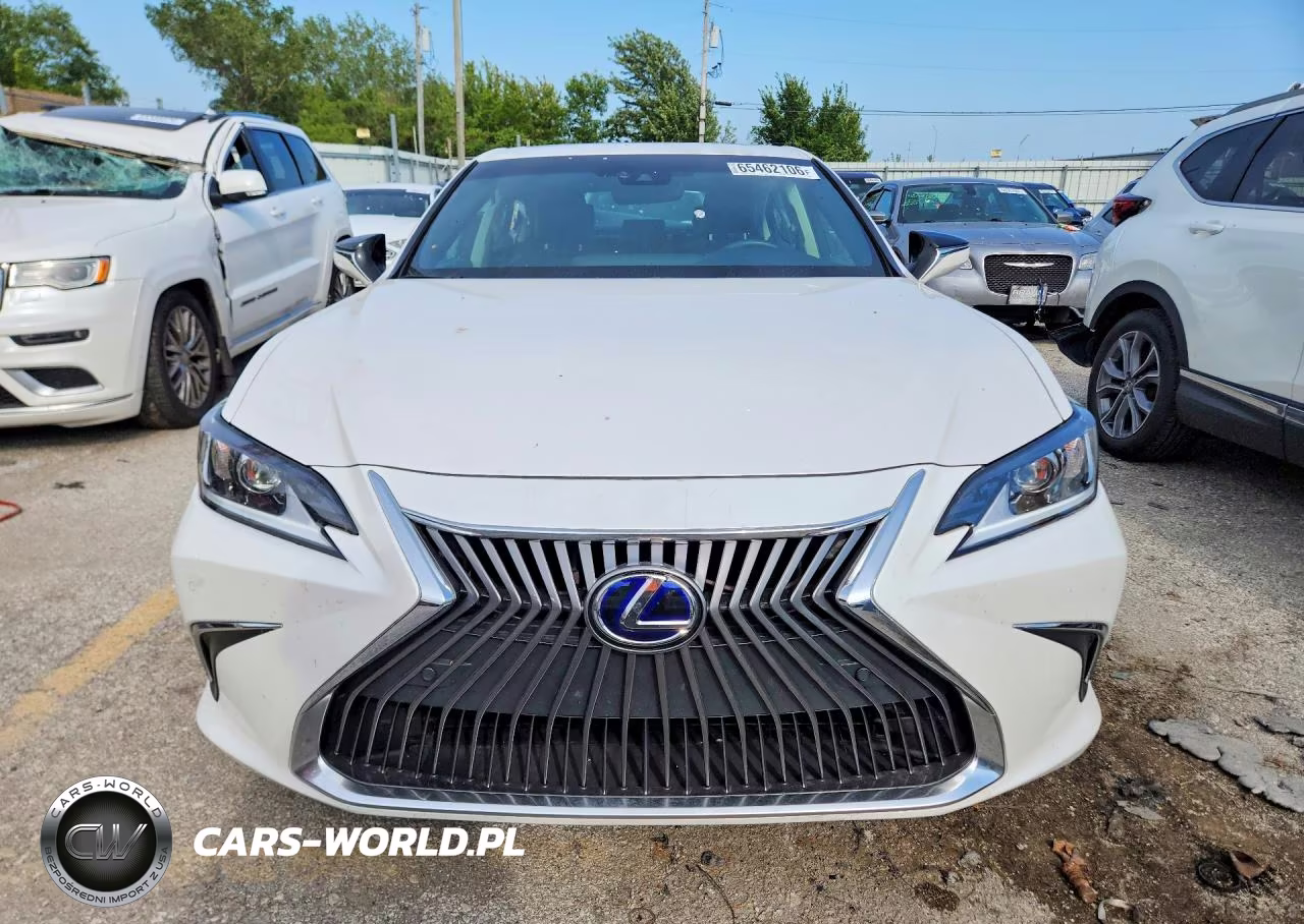 2020 Lexus Es 300H VIN:58AD21B17LU010193 - 5