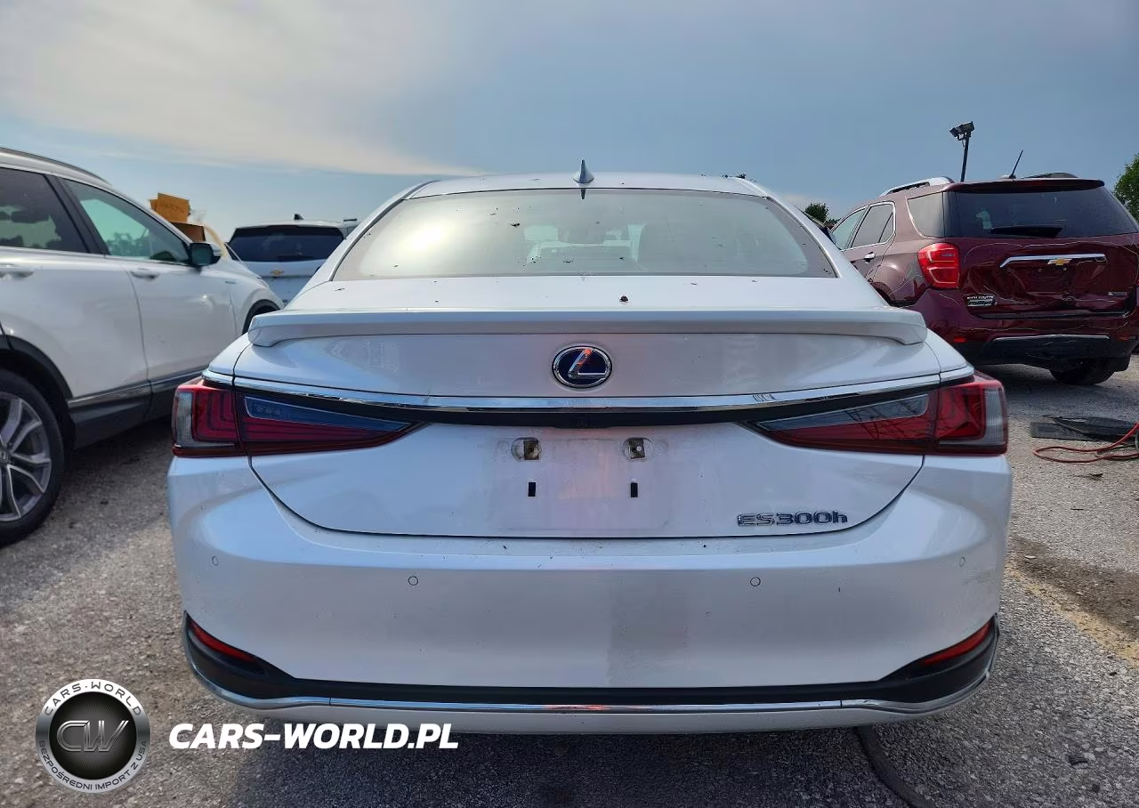 2020 Lexus Es 300H VIN:58AD21B17LU010193 - 6