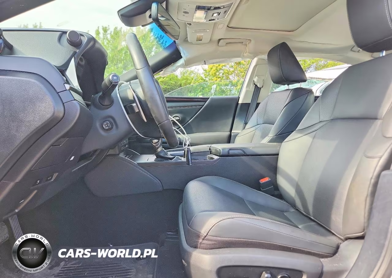 2020 Lexus Es 300H VIN:58AD21B17LU010193 - 7