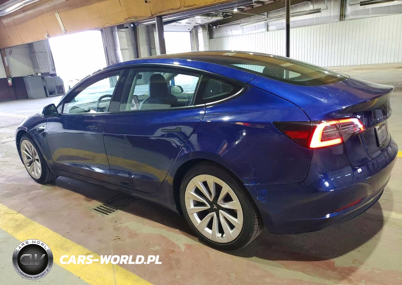 2022 Tesla Model 3 VIN:5YJ3E1EA4NF369541 - 2