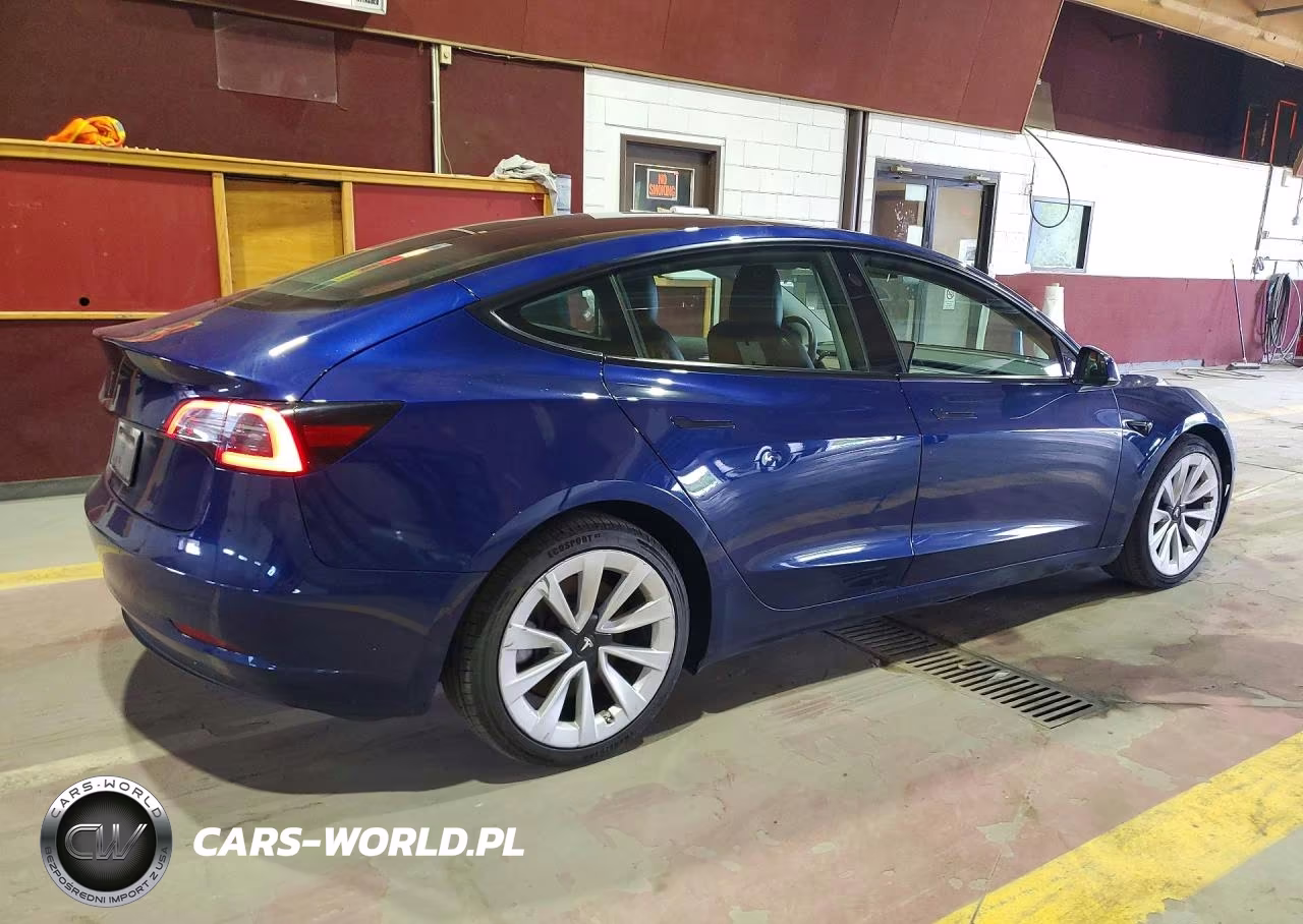 2022 Tesla Model 3 VIN:5YJ3E1EA4NF369541 - 3