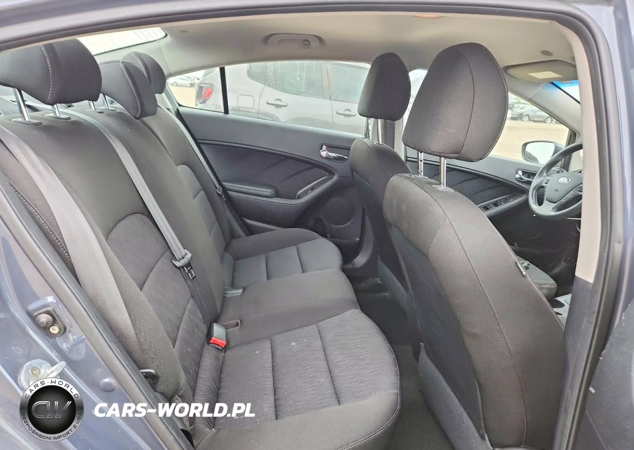 2016 Kia Forte Lx VIN:KNAFK4A69G5569597 - 10
