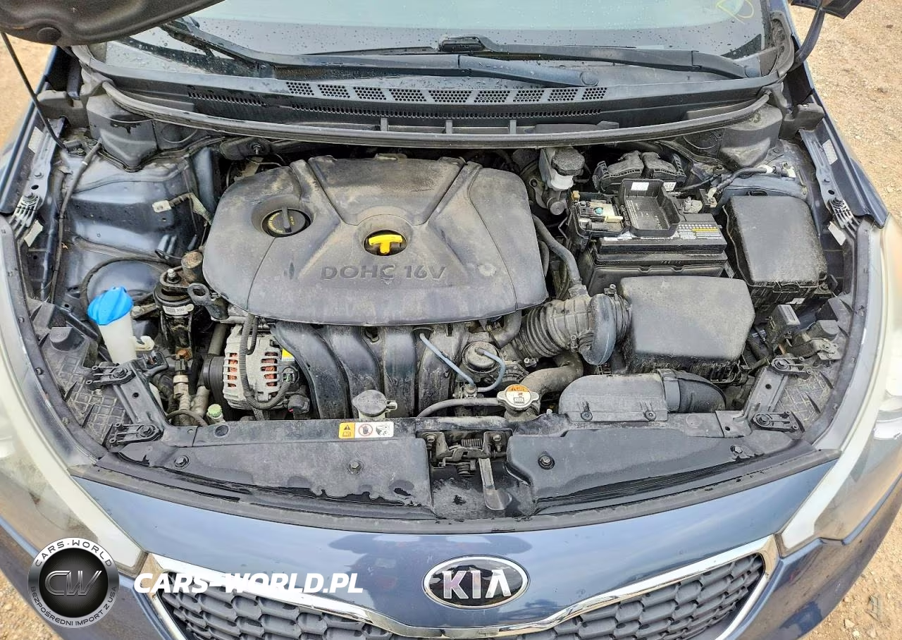 2016 Kia Forte Lx VIN:KNAFK4A69G5569597 - 11