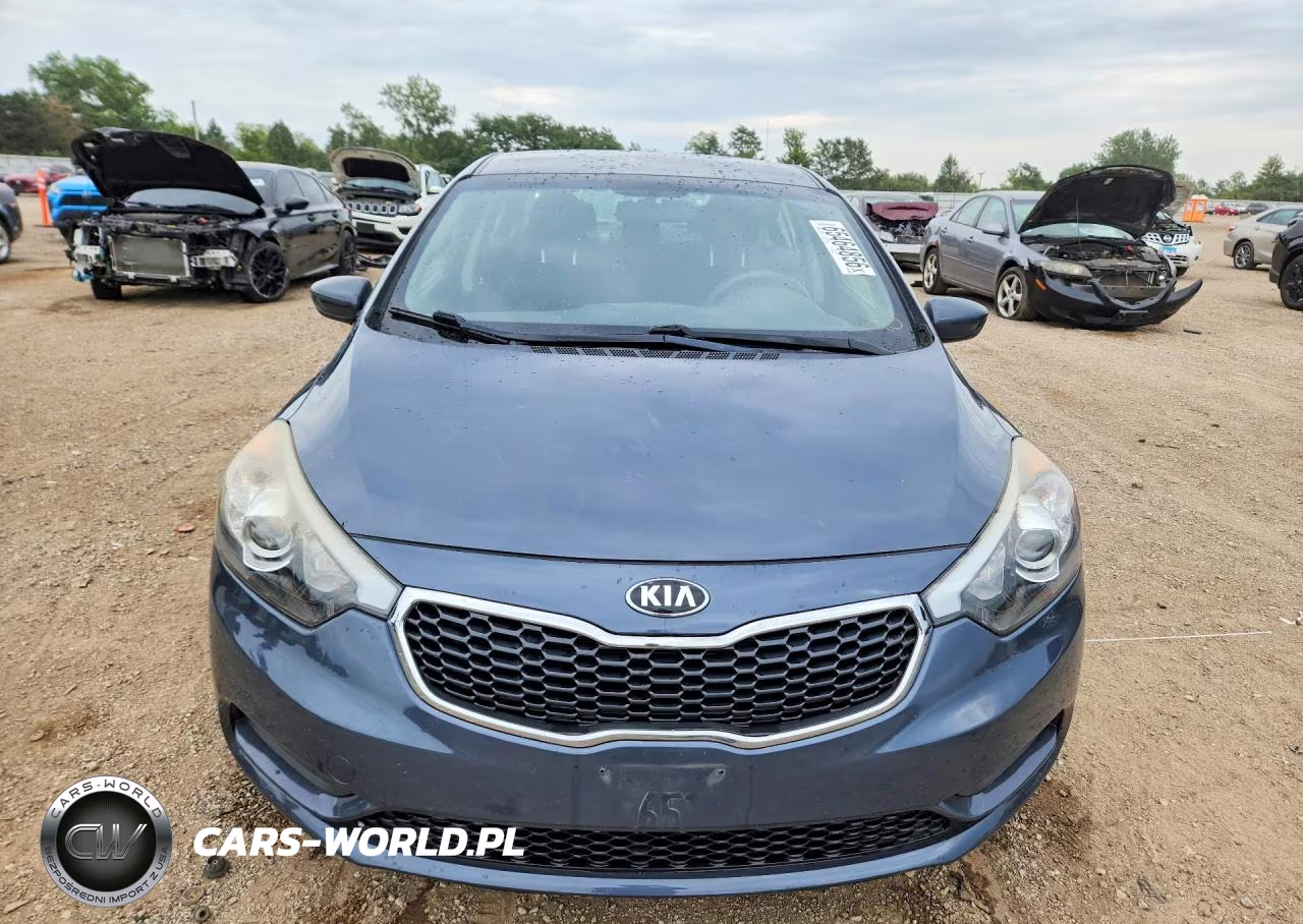 2016 Kia Forte Lx VIN:KNAFK4A69G5569597 - 5