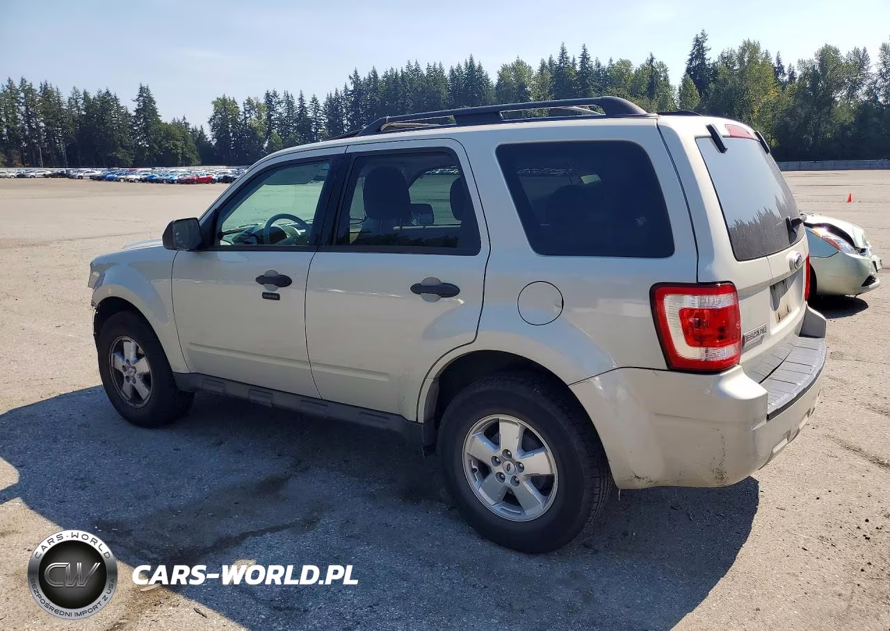 2009 Ford Escape Xlt VIN:1FMCU03709KD00080 - 2