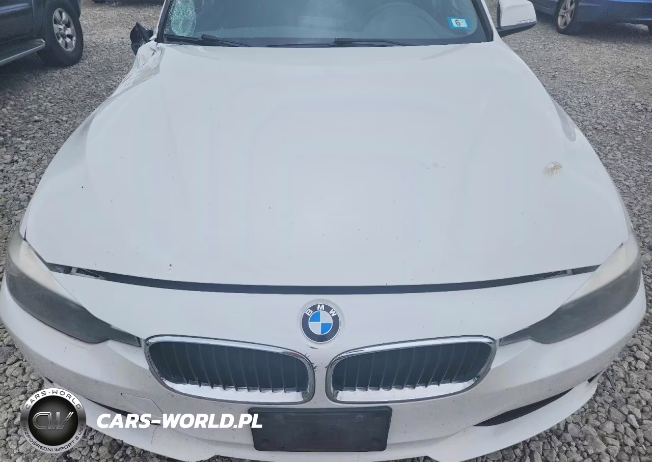 2014 BMW 320 I xDrive VIN:WBA3C3C51EP661318 - 11
