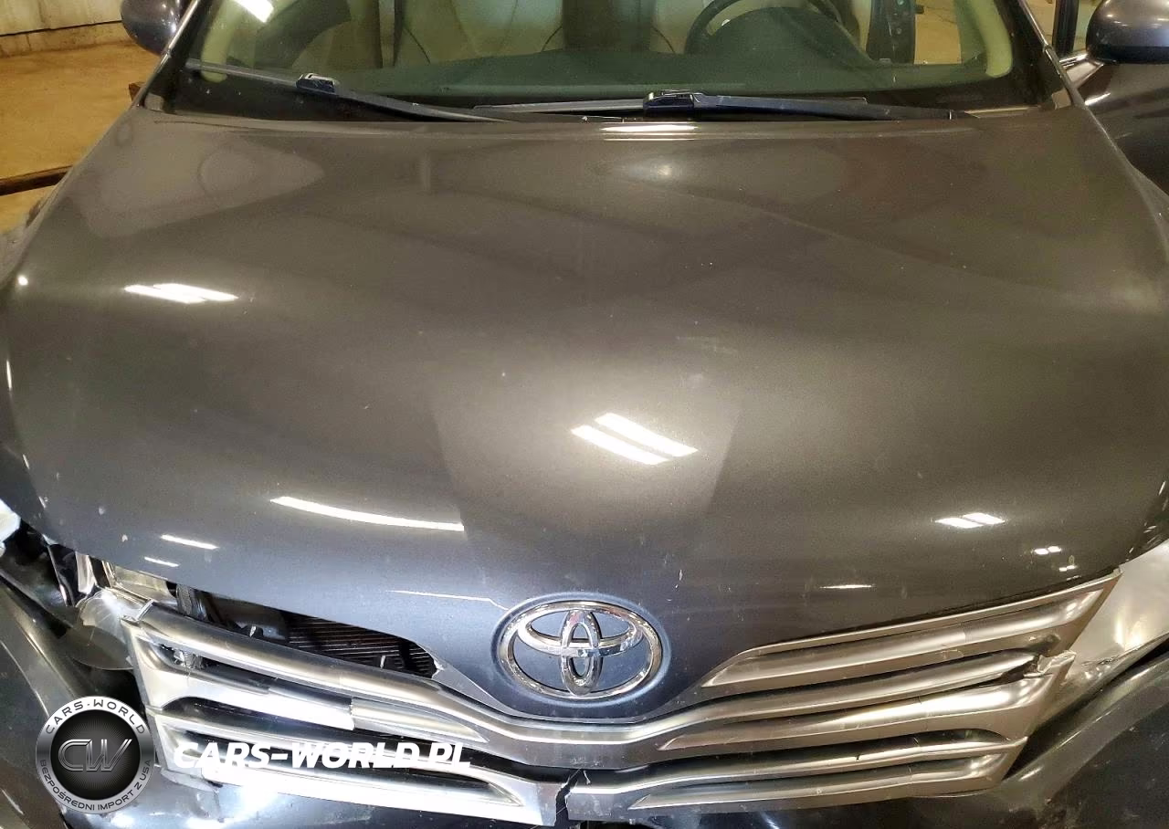 2009 Toyota Venza Awd V6 VIN:4T3BK11A29U007539 - 12