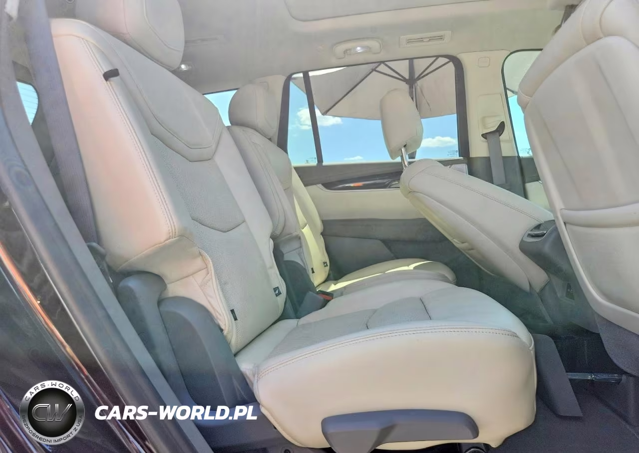 2020 Cadillac Xt6 Premium Luxury VIN:1GYKPCRSXLZ177014 - 11
