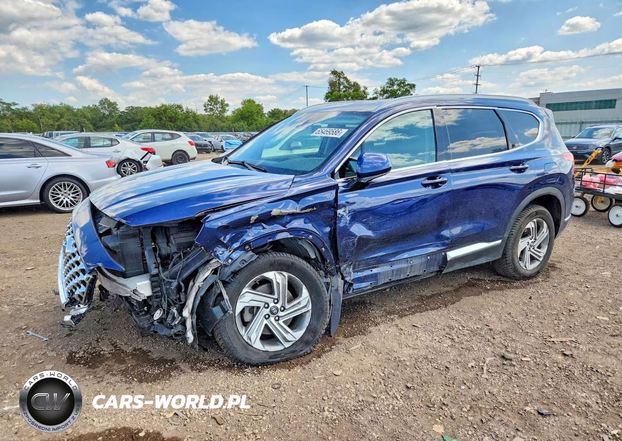 2021 Hyundai Santa Fe Sel VIN:5NMS2DAJ5MH362509 - 1