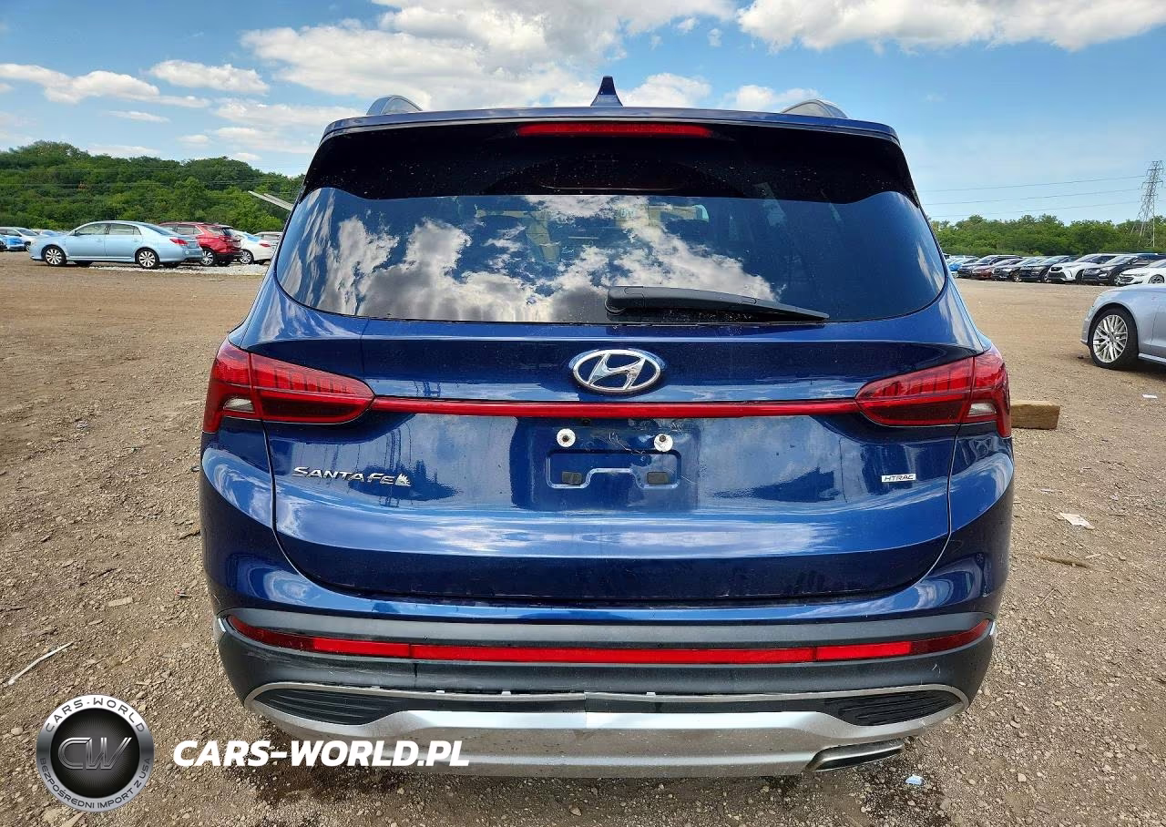2021 Hyundai Santa Fe Sel VIN:5NMS2DAJ5MH362509 - 6