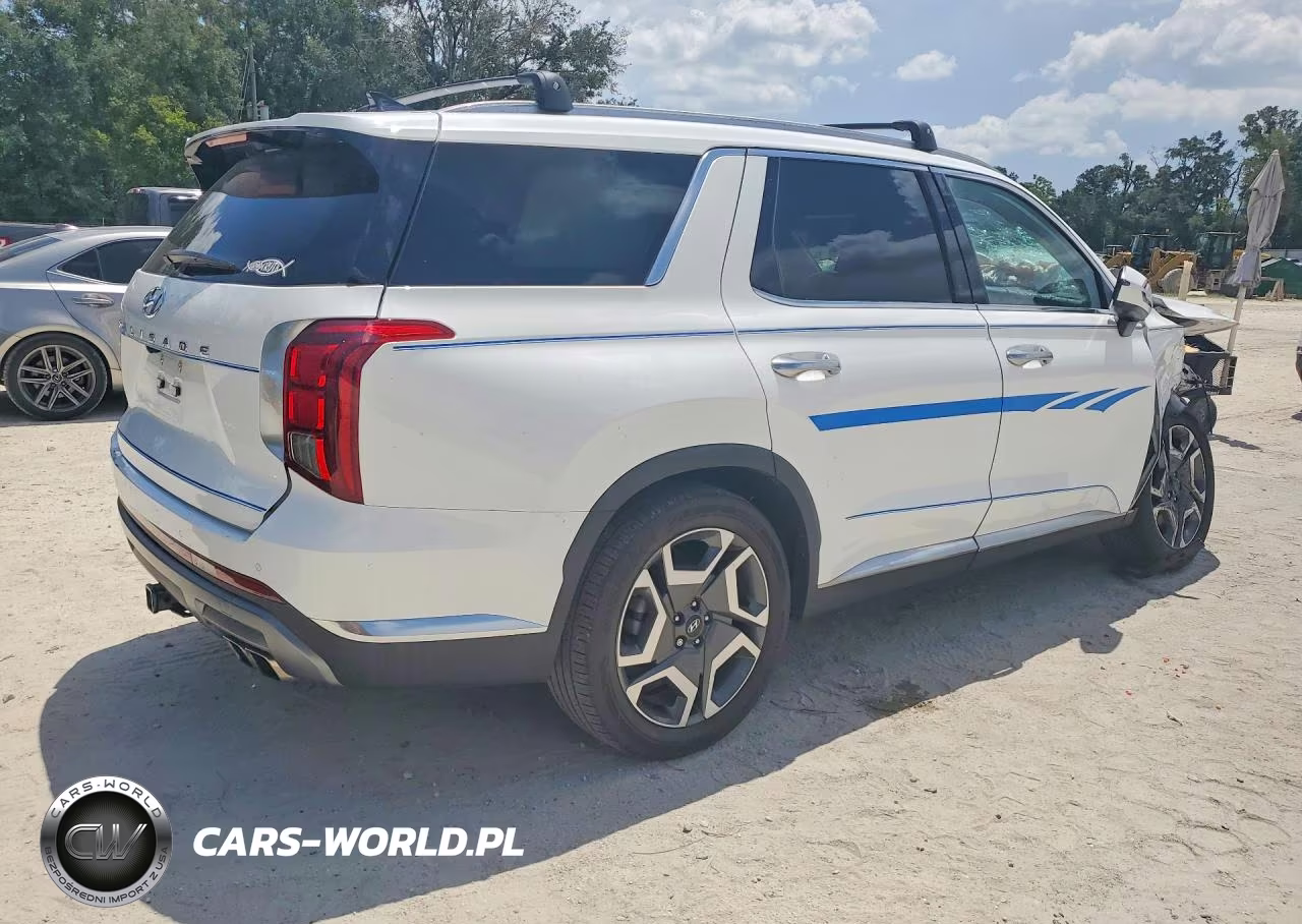 2025 Hyundai Palisade Limited VIN:KM8R54GE5SU854071 - 3