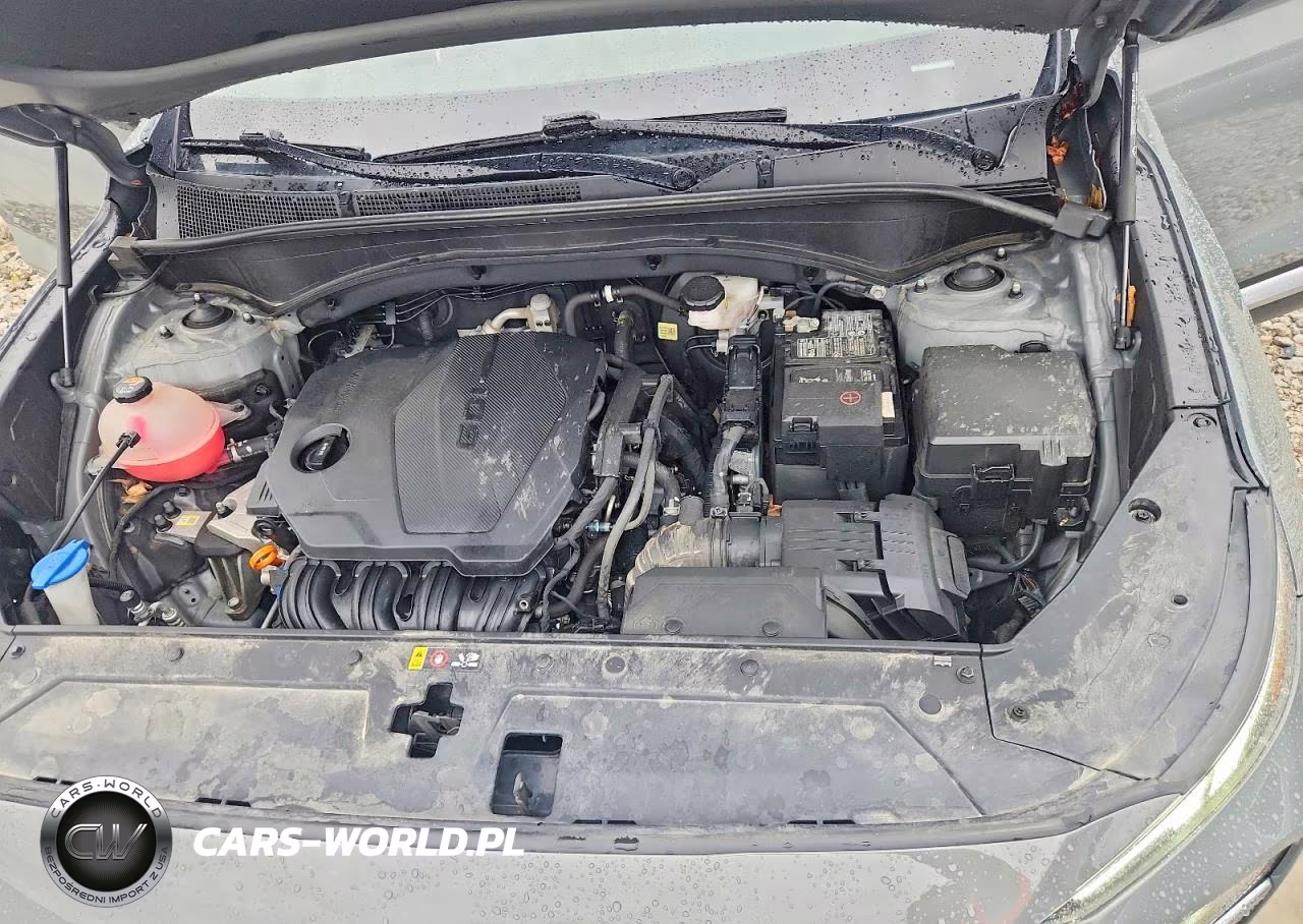 2021 Hyundai Santa Fe Sel VIN:5NMS2DAJ0MH361090 - 12