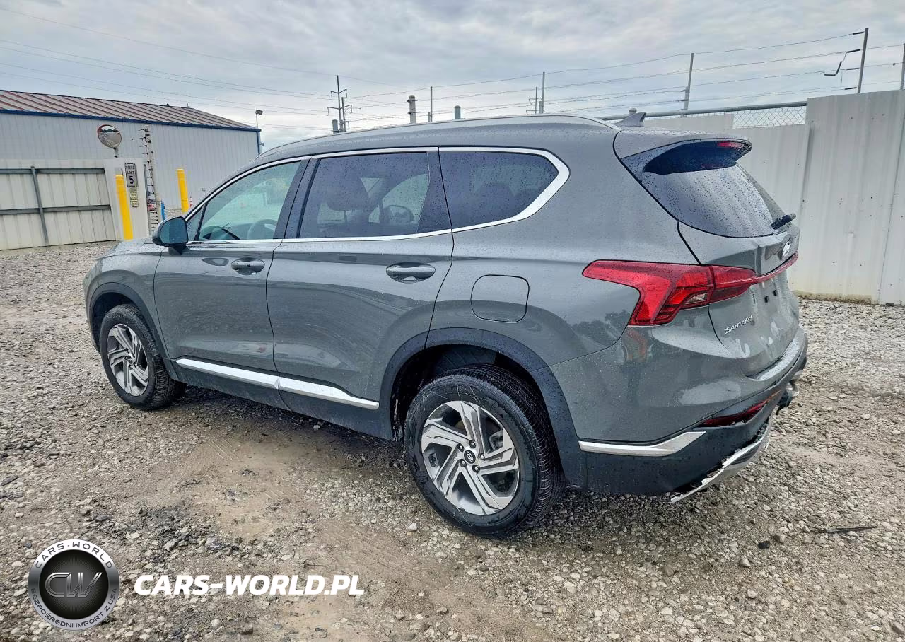 2021 Hyundai Santa Fe Sel VIN:5NMS2DAJ0MH361090 - 2