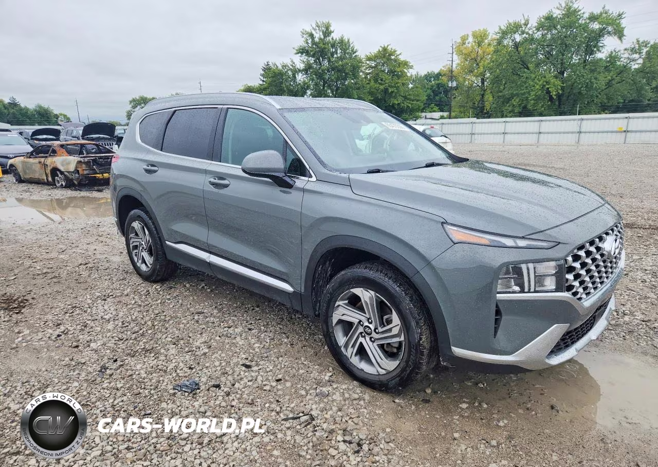 2021 Hyundai Santa Fe Sel VIN:5NMS2DAJ0MH361090 - 4