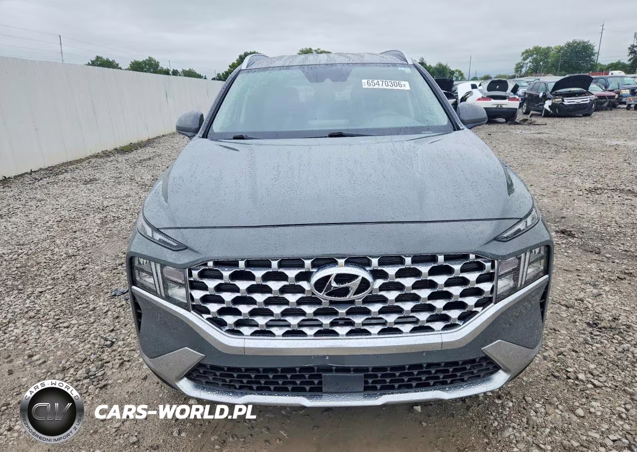 2021 Hyundai Santa Fe Sel VIN:5NMS2DAJ0MH361090 - 5