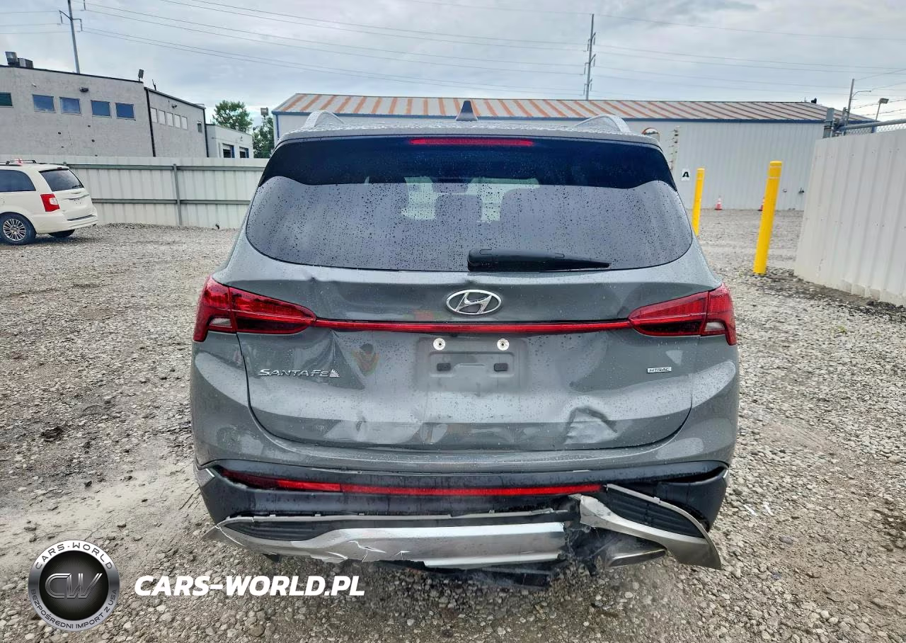 2021 Hyundai Santa Fe Sel VIN:5NMS2DAJ0MH361090 - 6