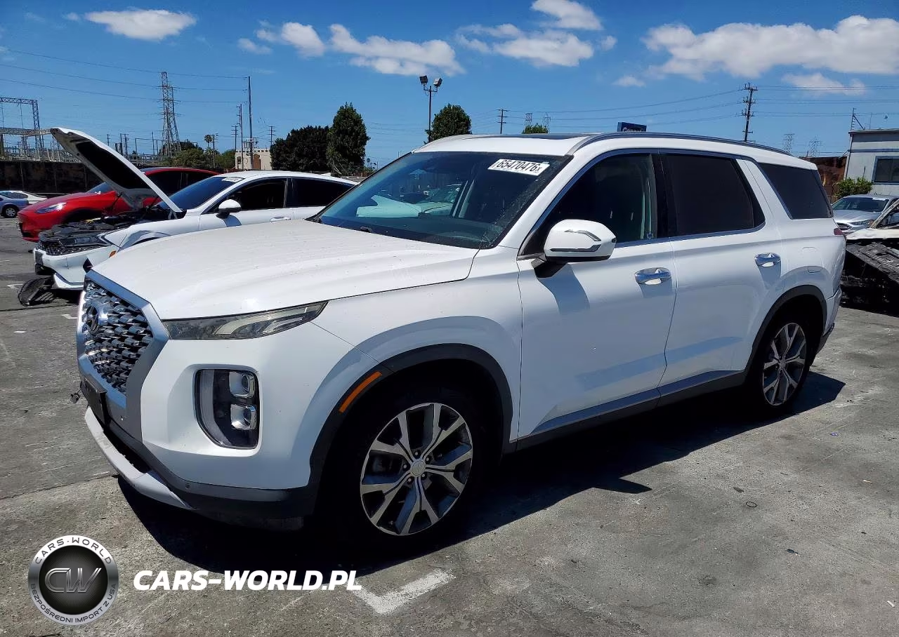 2020 Hyundai Palisade Sel VIN:KM8R34HE7LU113443 - 1