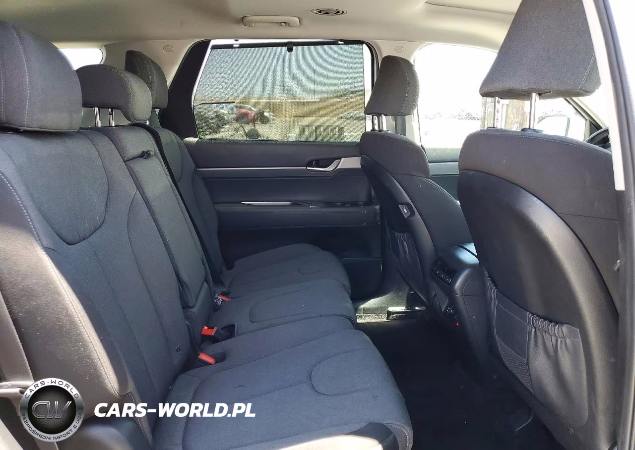 2020 Hyundai Palisade Sel VIN:KM8R34HE7LU113443 - 11