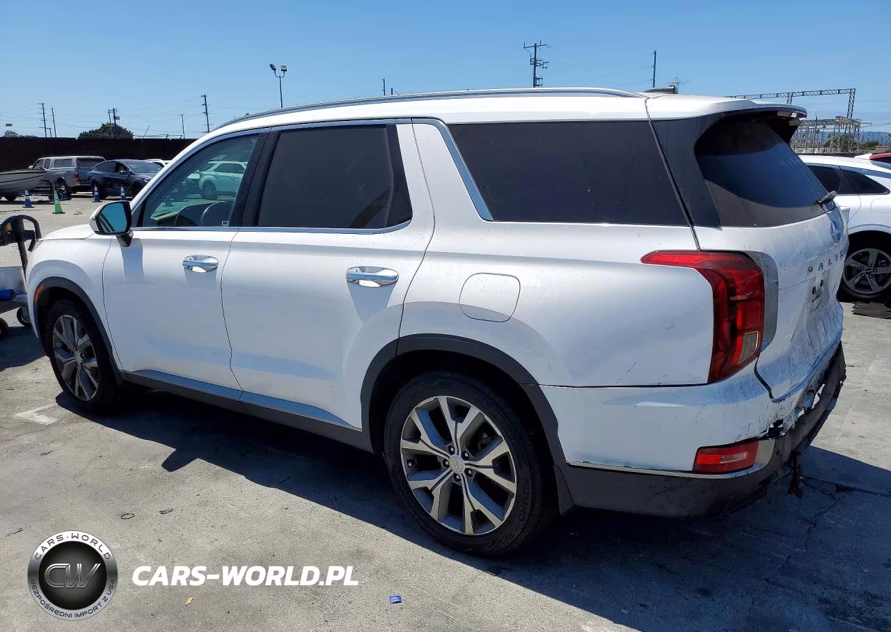 2020 Hyundai Palisade Sel VIN:KM8R34HE7LU113443 - 2