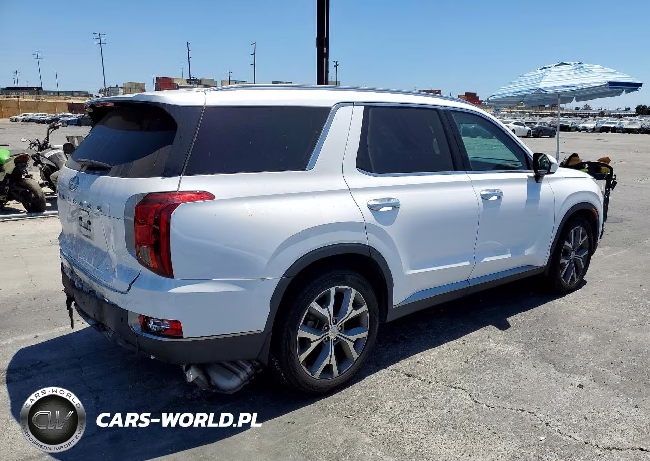 2020 Hyundai Palisade Sel VIN:KM8R34HE7LU113443 - 3