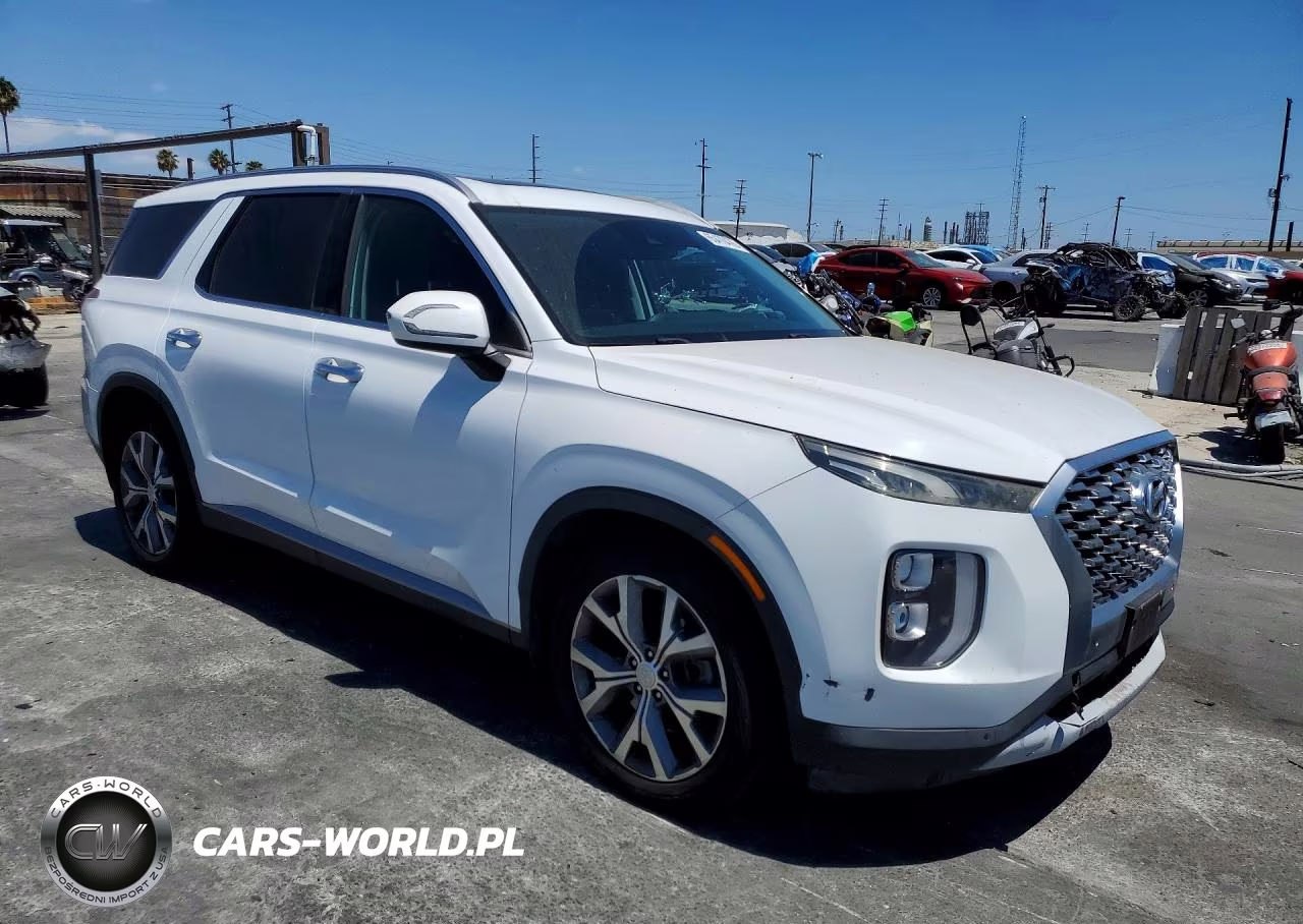 2020 Hyundai Palisade Sel VIN:KM8R34HE7LU113443 - 4