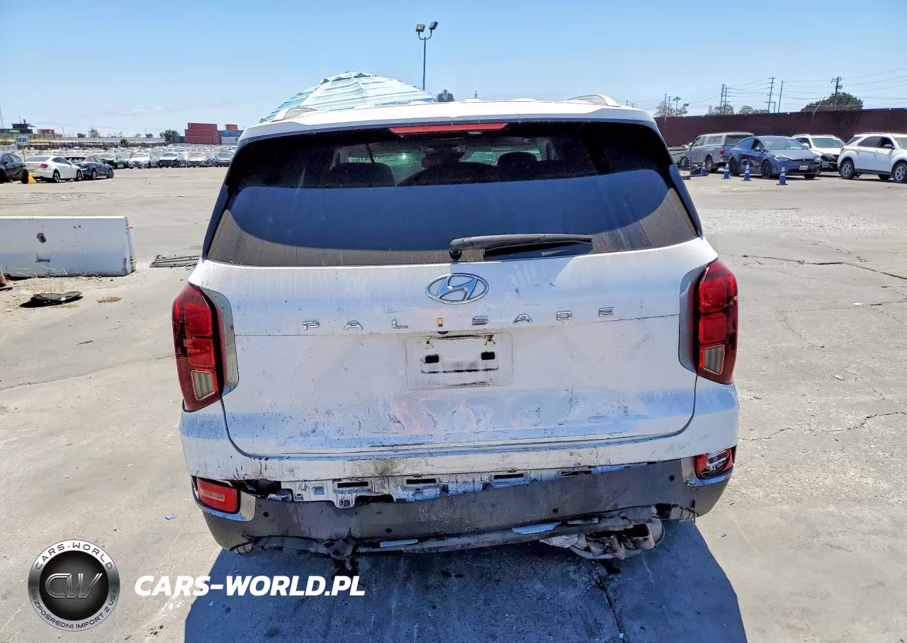 2020 Hyundai Palisade Sel VIN:KM8R34HE7LU113443 - 6