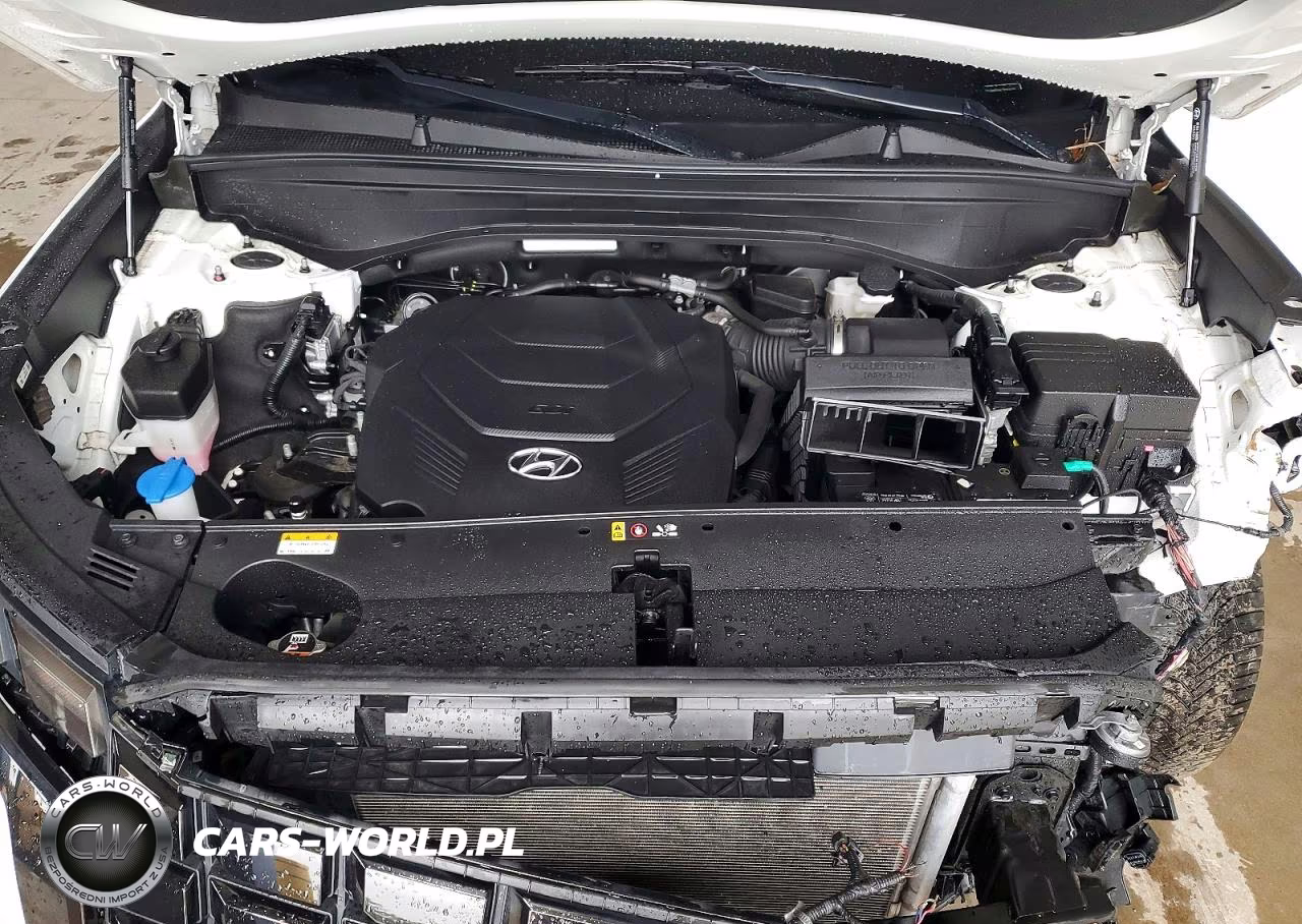 2023 Hyundai Palisade Limited VIN:KM8R5DGE2PU556231 - 12