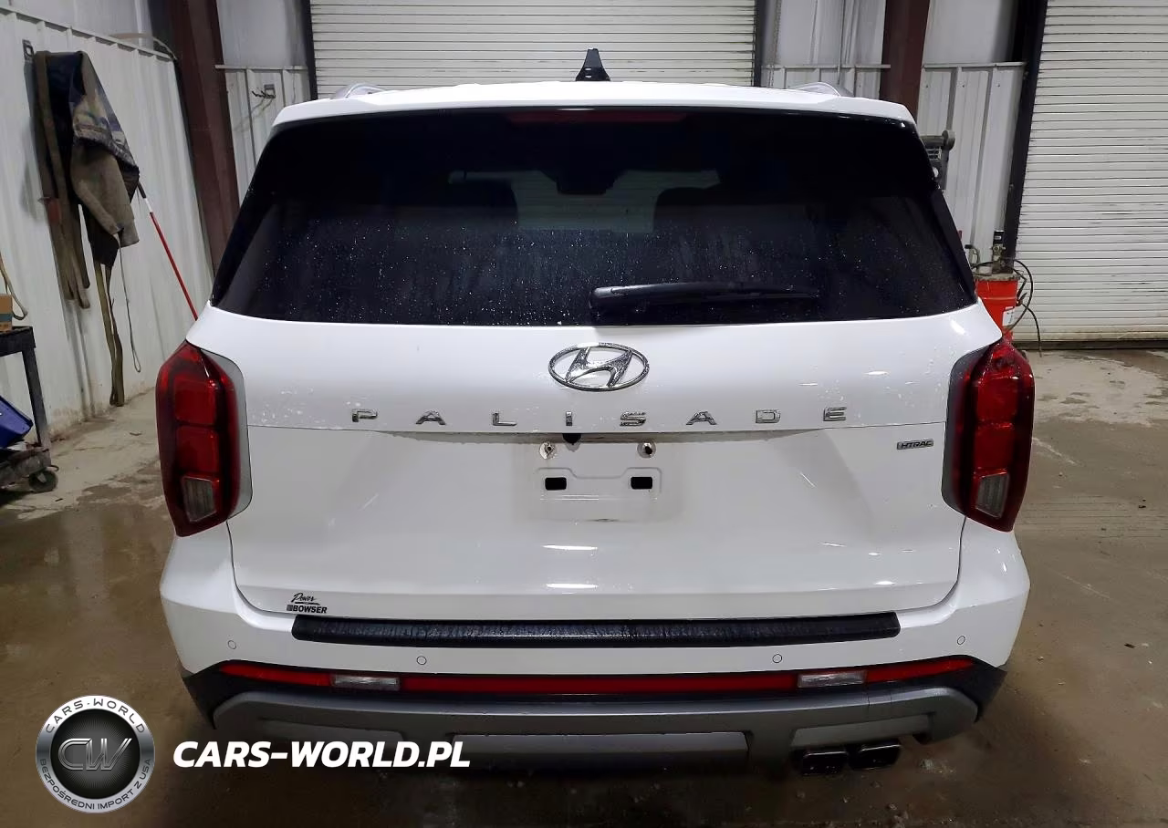 2023 Hyundai Palisade Limited VIN:KM8R5DGE2PU556231 - 6