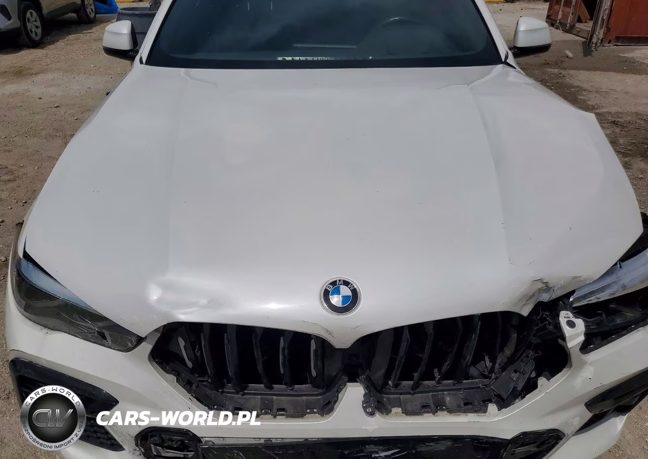 2023 BMW X6 xDrive40I VIN:5UXCY6C03P9R95351 - 12