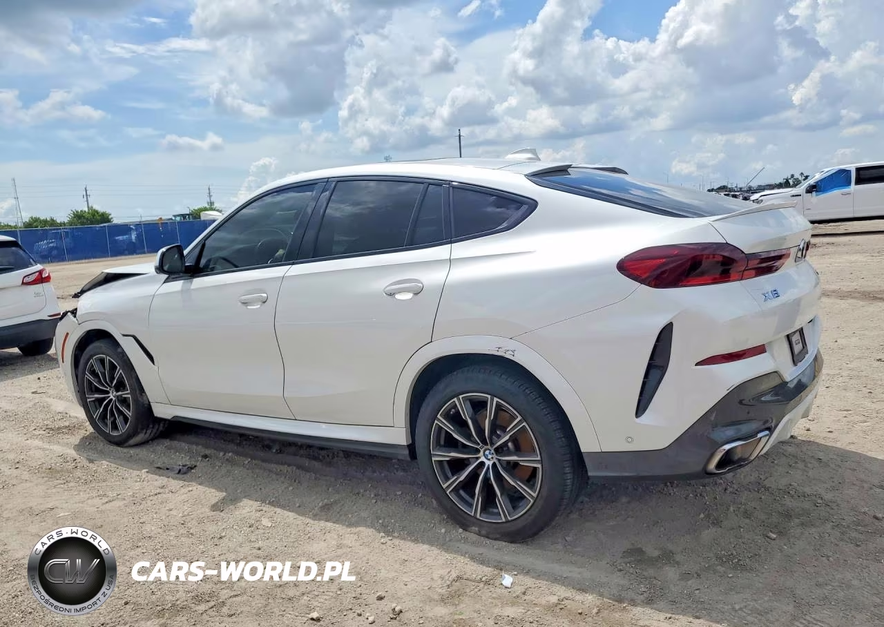2023 BMW X6 xDrive40I VIN:5UXCY6C03P9R95351 - 2