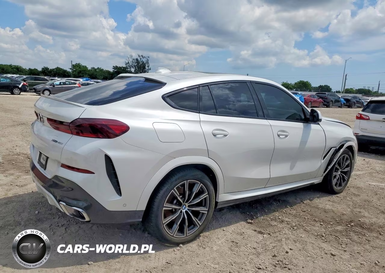 2023 BMW X6 xDrive40I VIN:5UXCY6C03P9R95351 - 3