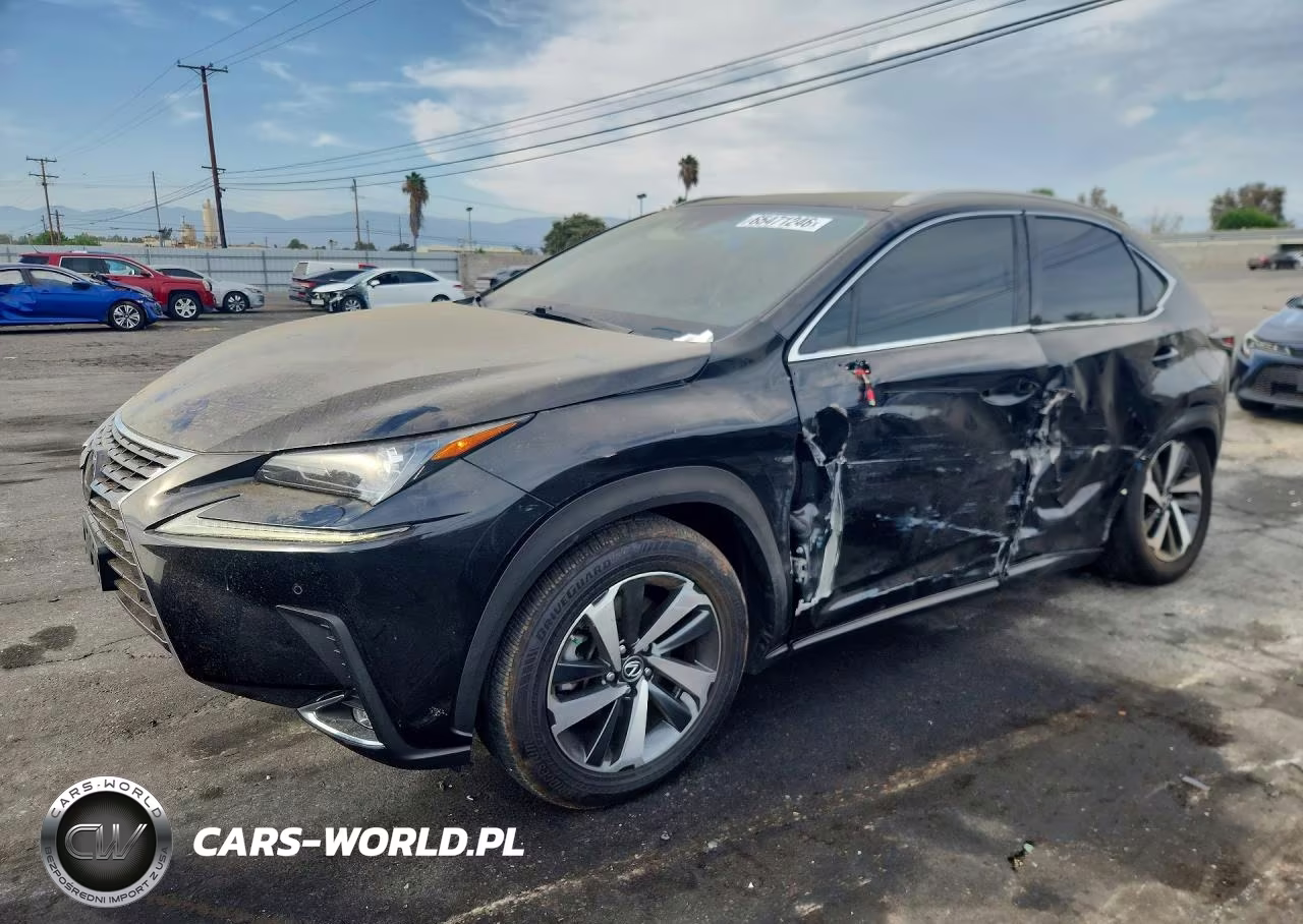2021 Lexus Nx 300 Base VIN:JTJGARBZ1M2181628 - 1