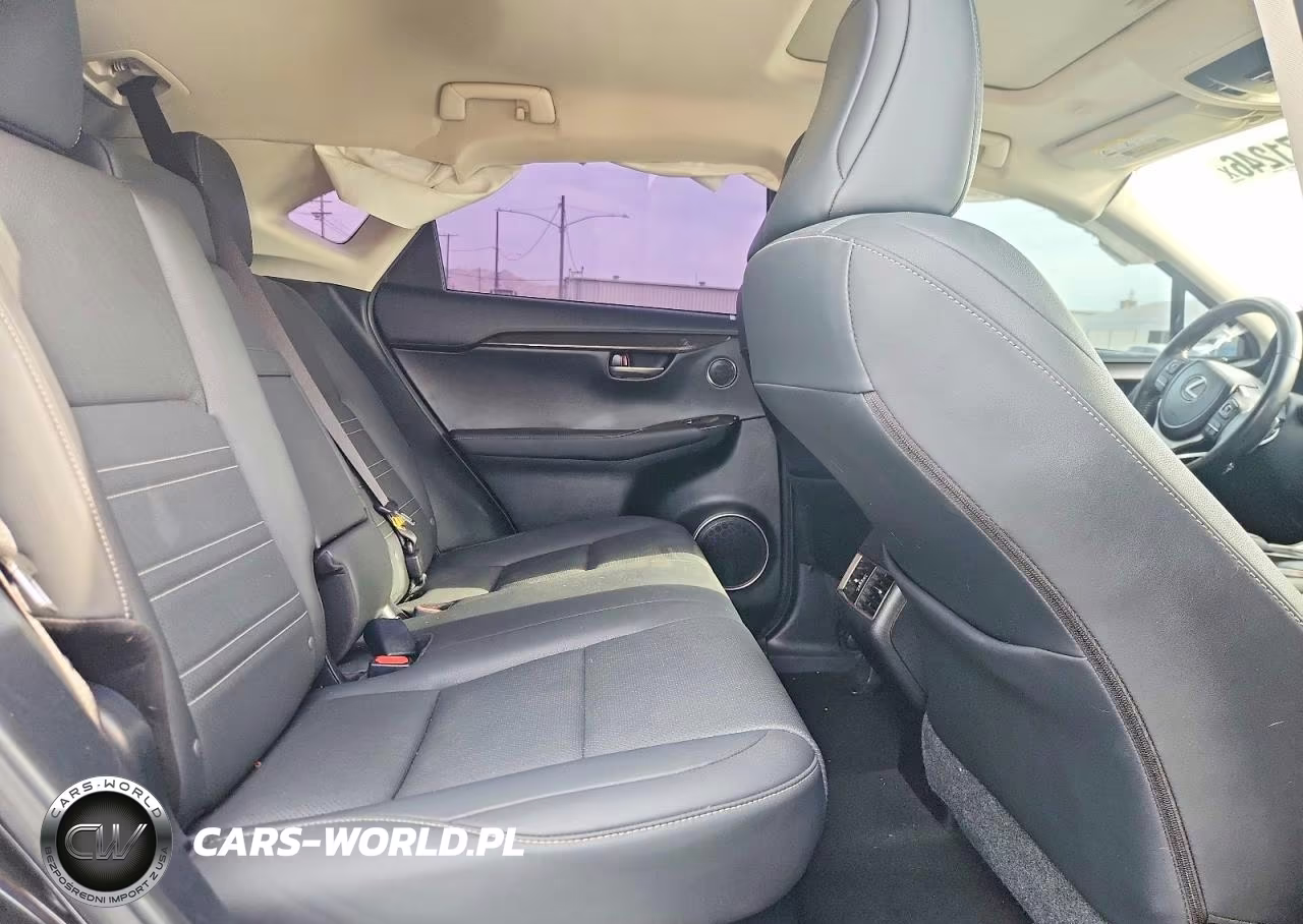 2021 Lexus Nx 300 Base VIN:JTJGARBZ1M2181628 - 10