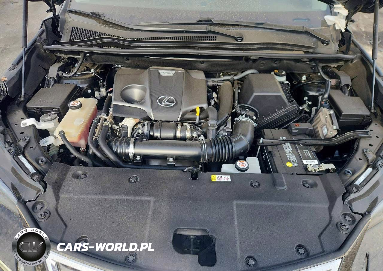 2021 Lexus Nx 300 Base VIN:JTJGARBZ1M2181628 - 11