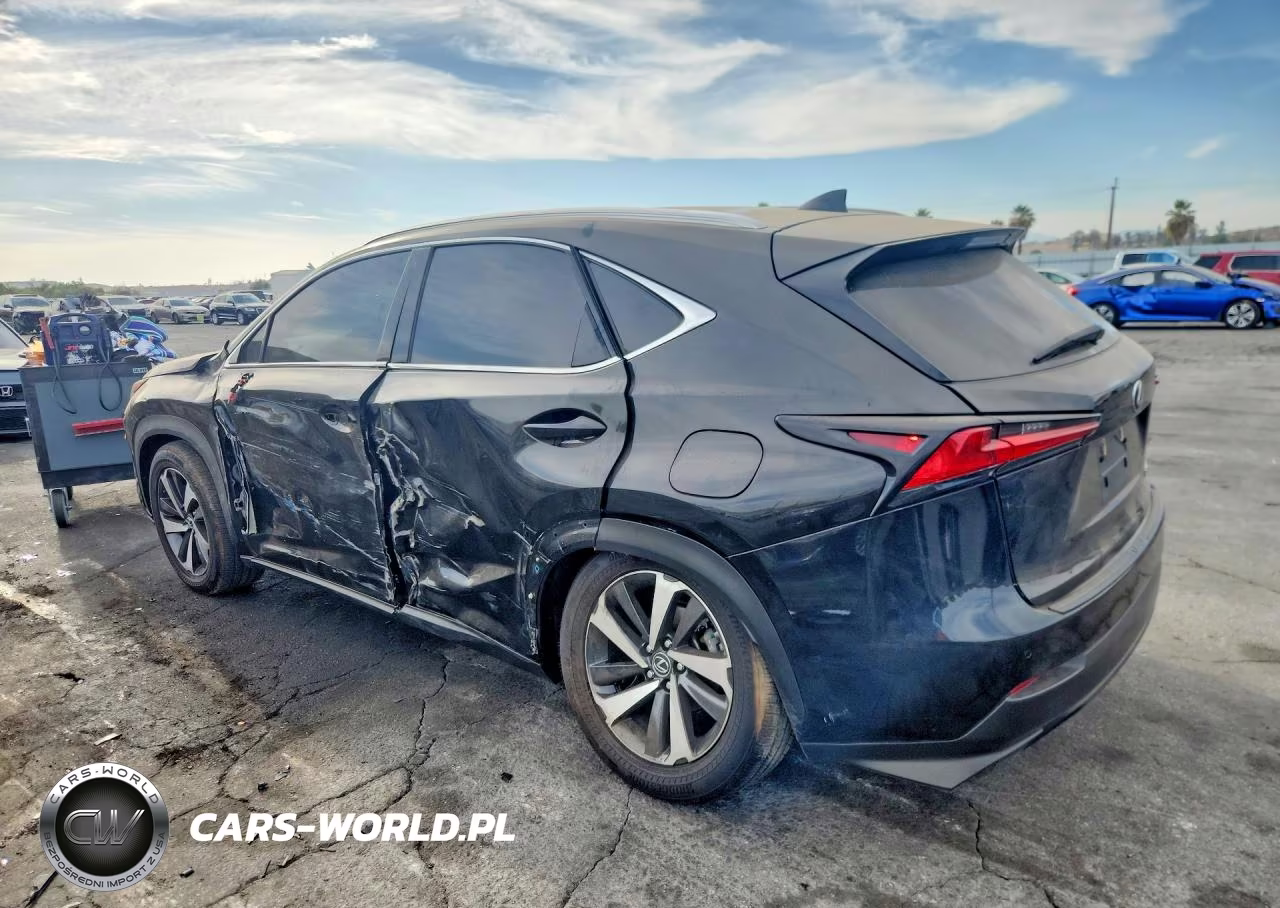 2021 Lexus Nx 300 Base VIN:JTJGARBZ1M2181628 - 2