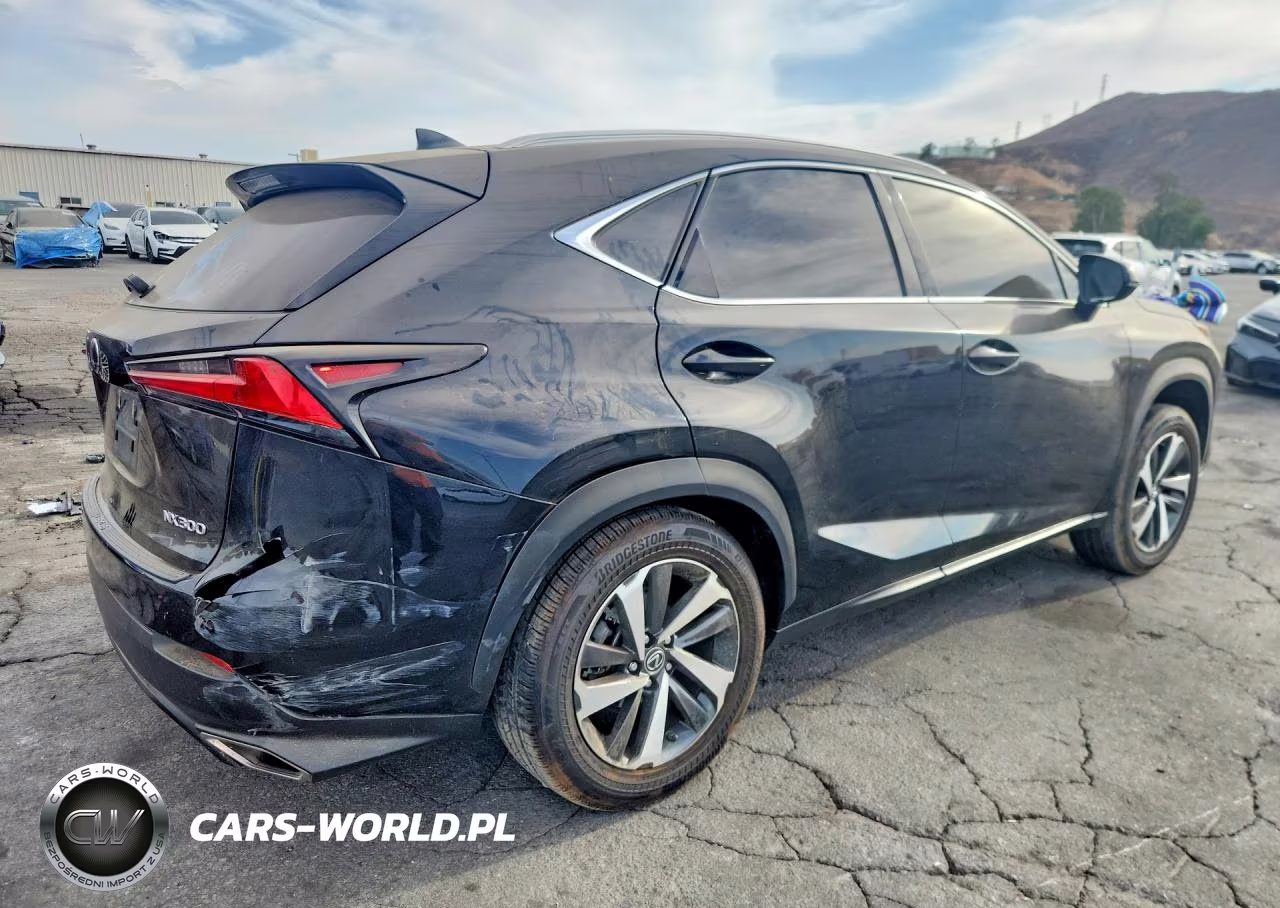 2021 Lexus Nx 300 Base VIN:JTJGARBZ1M2181628 - 3