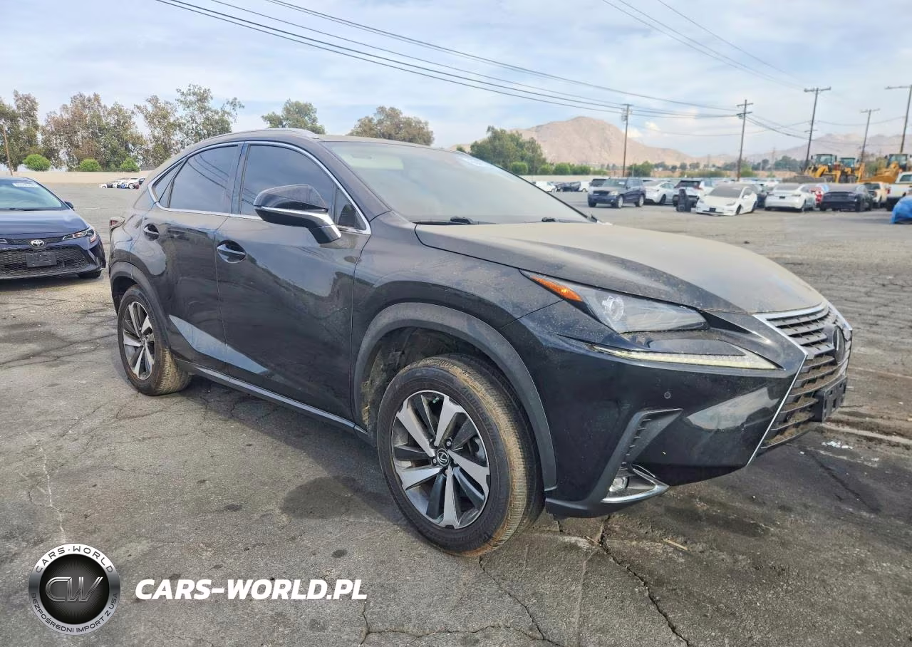 2021 Lexus Nx 300 Base VIN:JTJGARBZ1M2181628 - 4