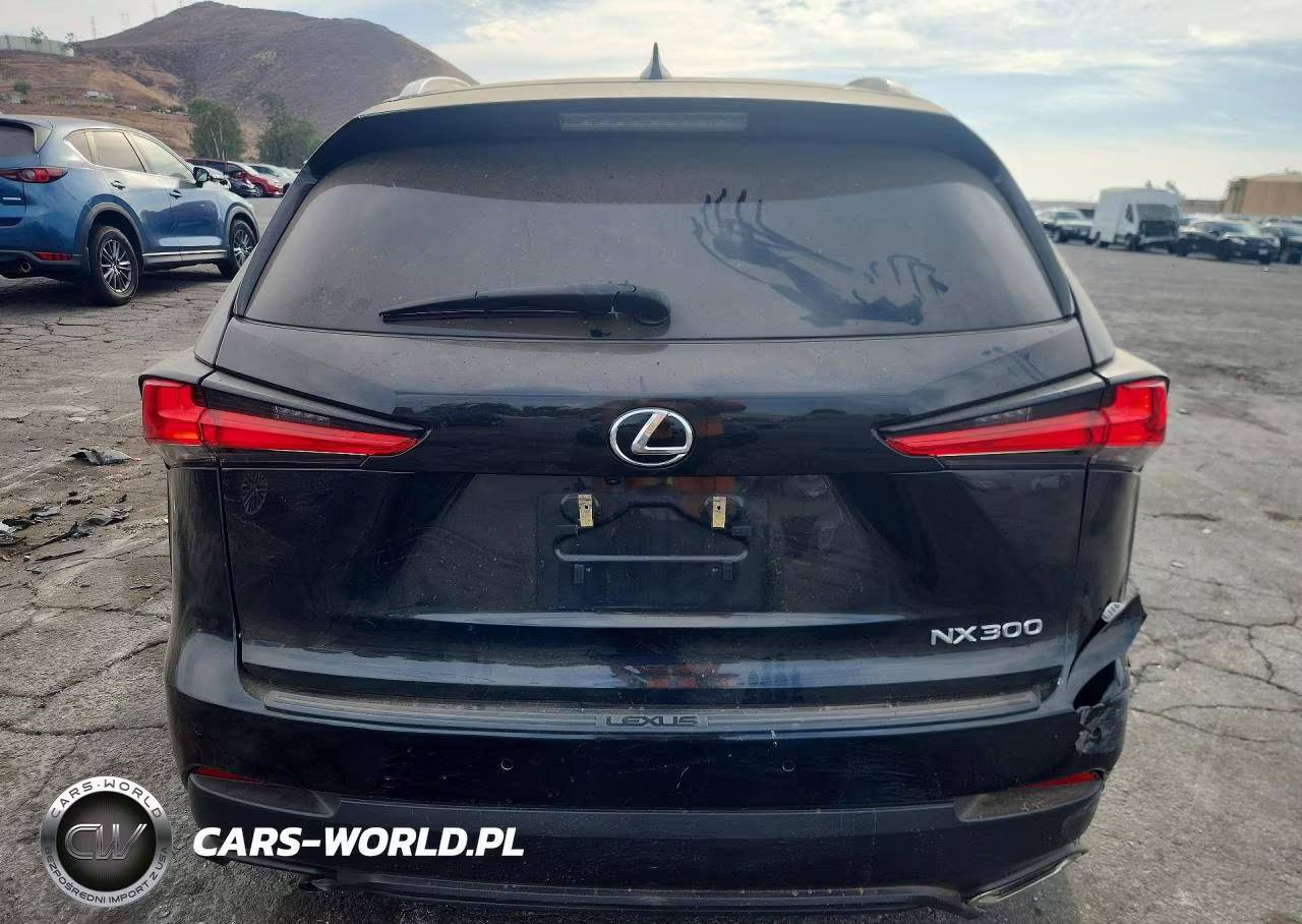 2021 Lexus Nx 300 Base VIN:JTJGARBZ1M2181628 - 6
