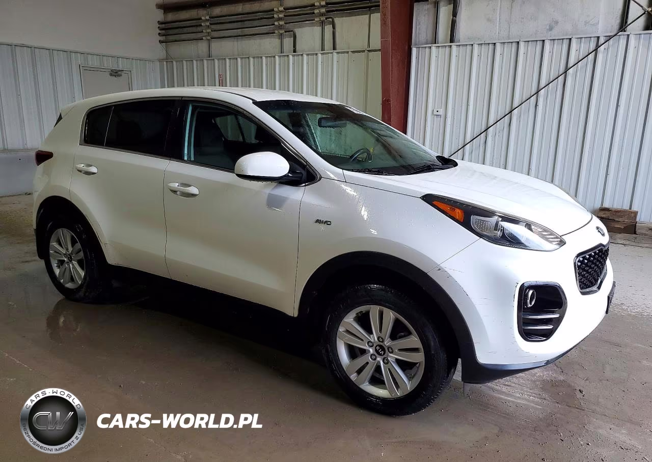 2017 Kia Sportage Lx VIN:KNDPMCAC6H7223109 - 4