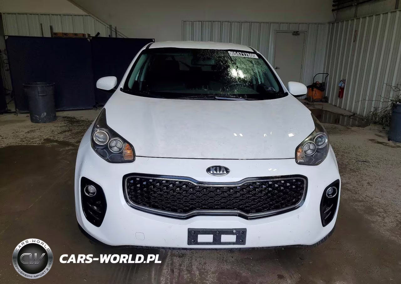 2017 Kia Sportage Lx VIN:KNDPMCAC6H7223109 - 5