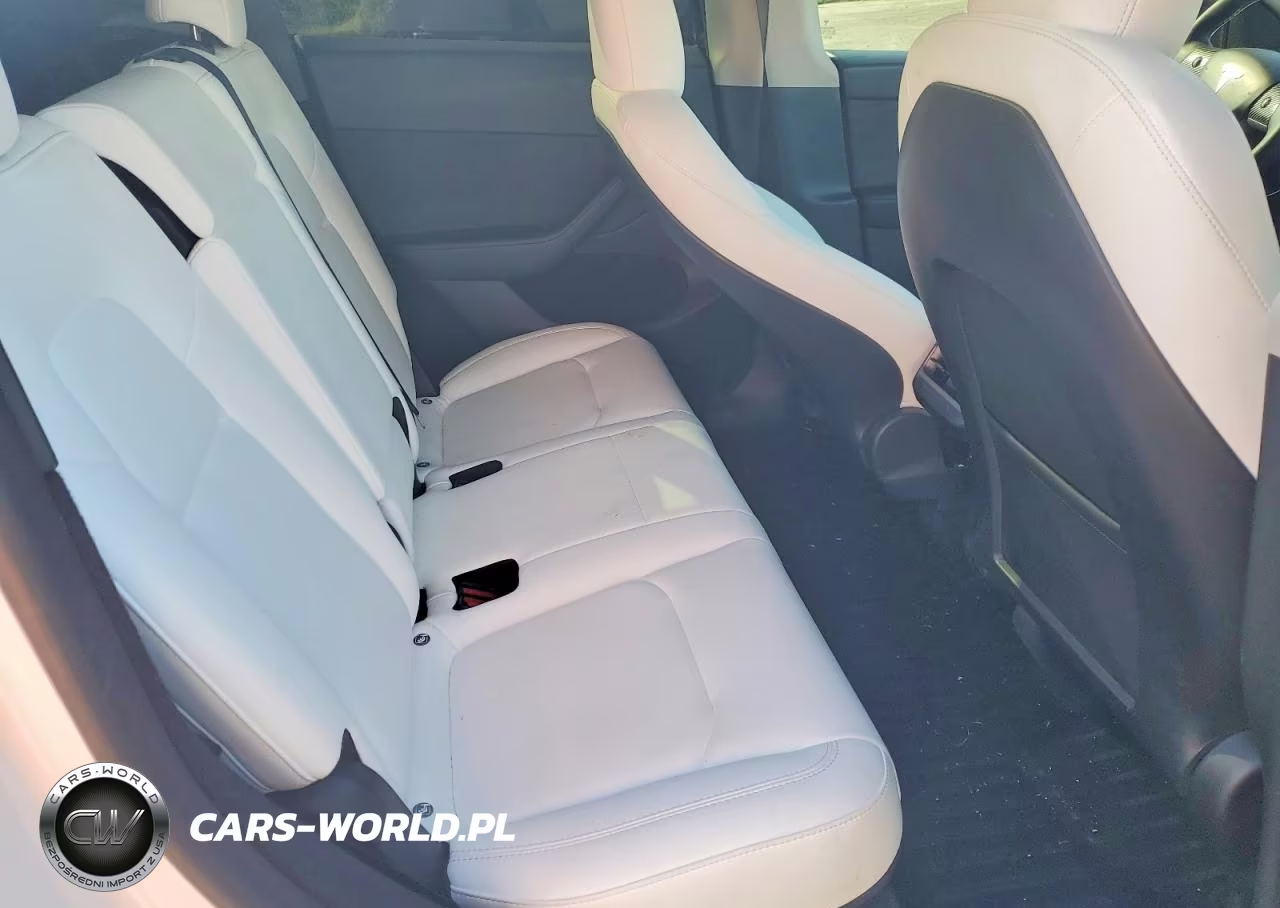 2023 Tesla Model Y VIN:7SAYGDEF3PF688237 - 10