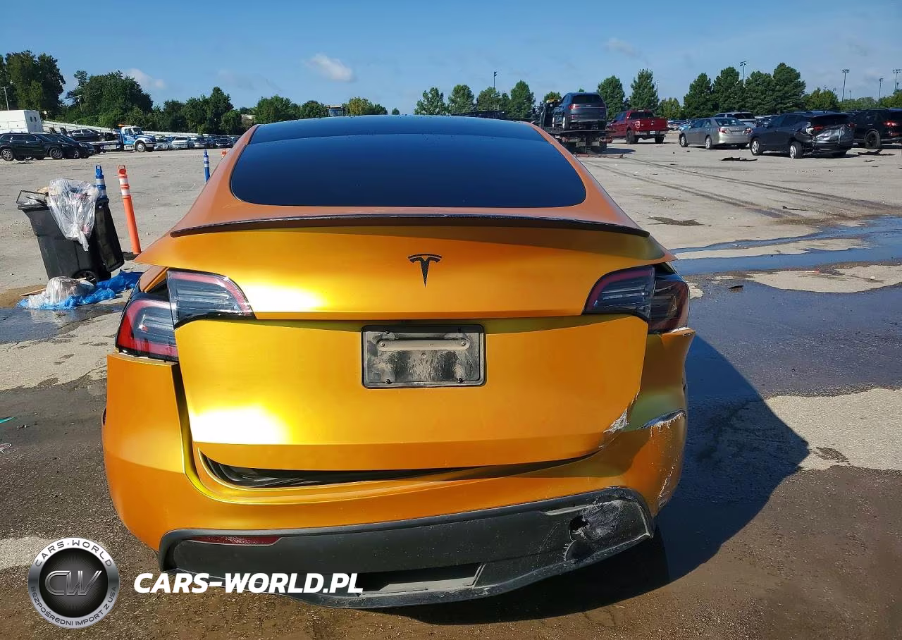 2023 Tesla Model Y VIN:7SAYGDEF3PF688237 - 6