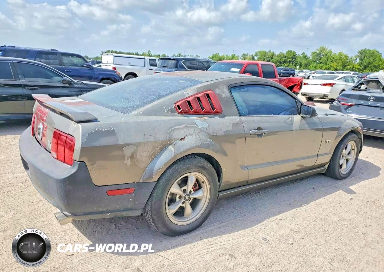 2005 Ford Mustang Gt VIN:1ZVFT82H055119130 - 3