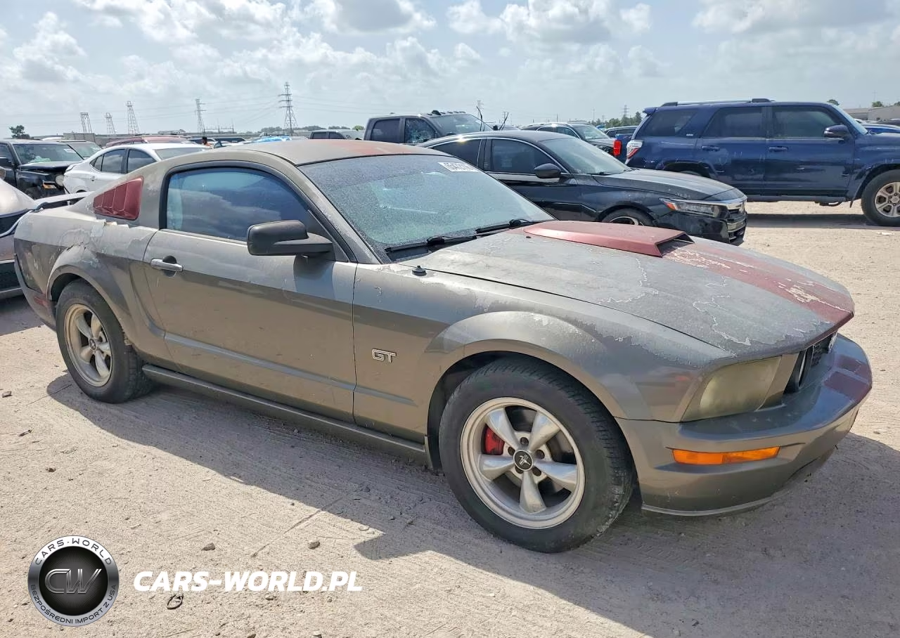 2005 Ford Mustang Gt VIN:1ZVFT82H055119130 - 4