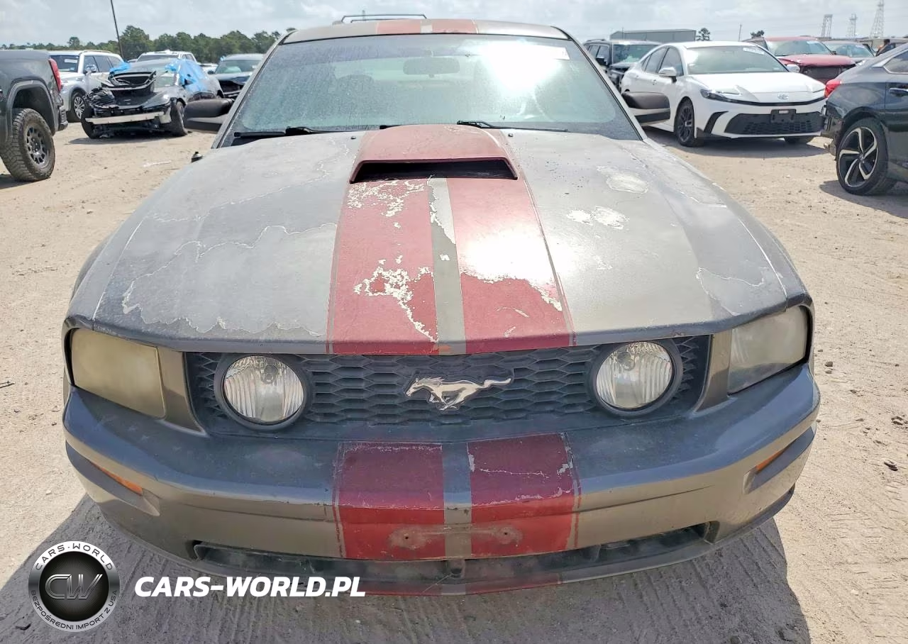 2005 Ford Mustang Gt VIN:1ZVFT82H055119130 - 5