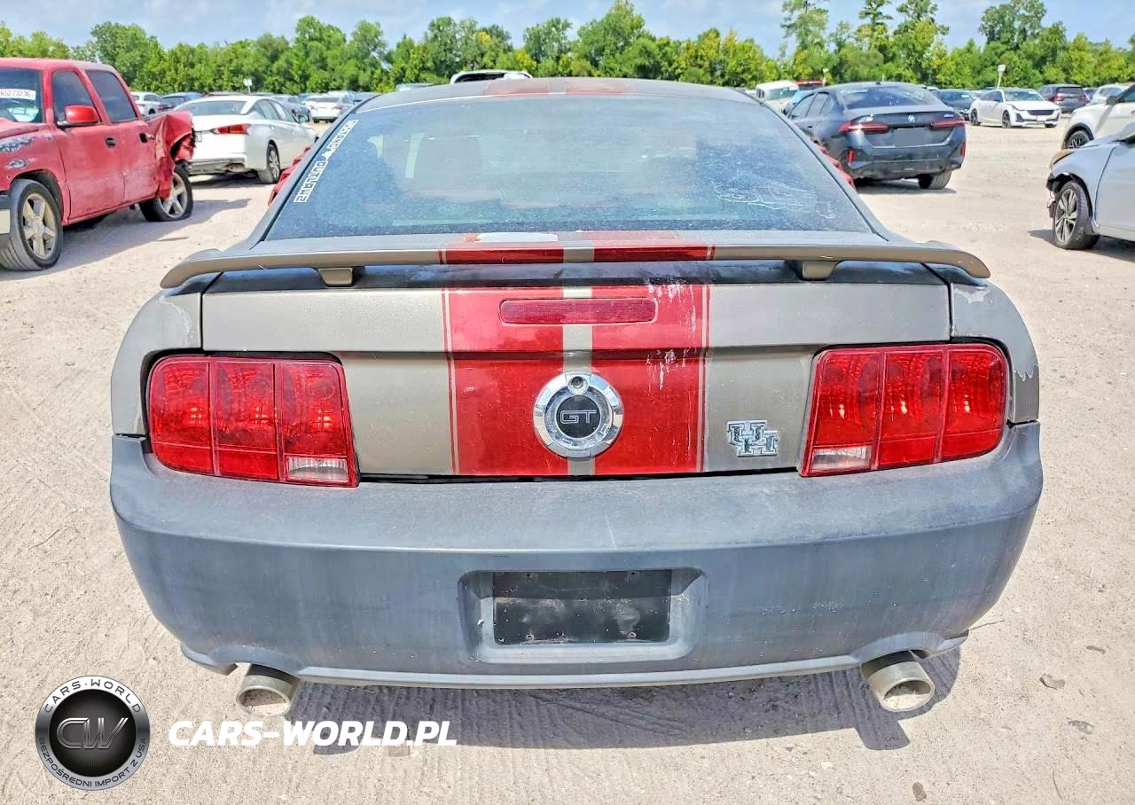2005 Ford Mustang Gt VIN:1ZVFT82H055119130 - 6
