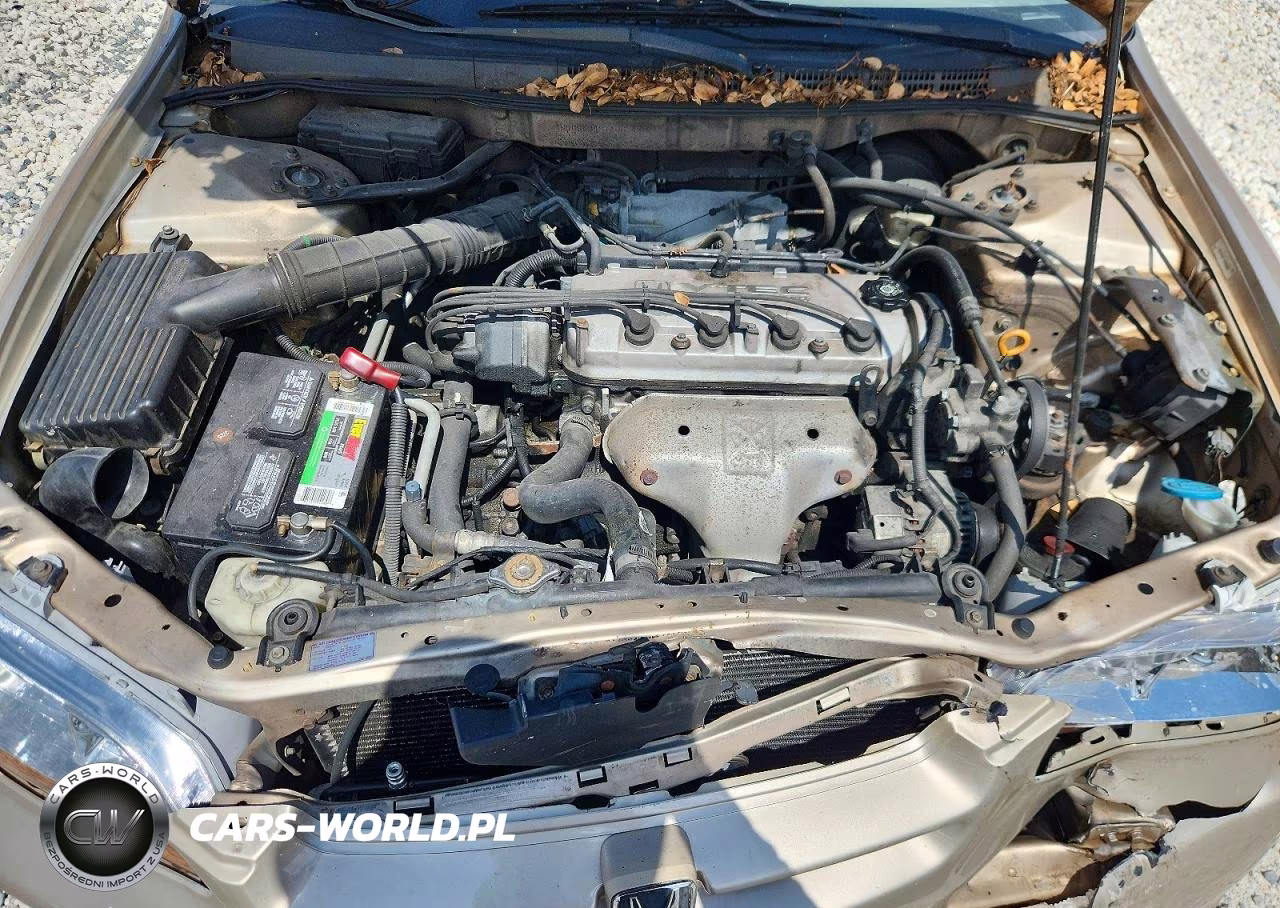 2000 Honda Accord Lx VIN:1HGCG5648YA083488 - 11