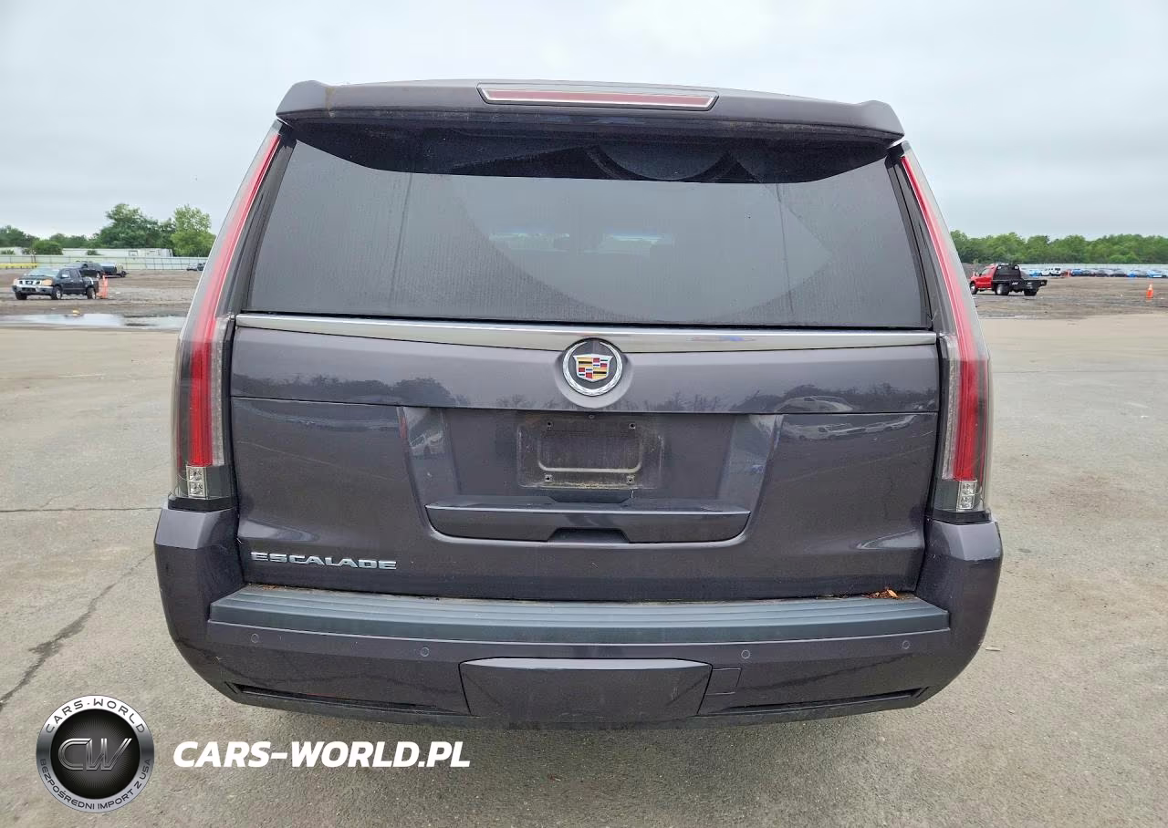 2015 Cadillac Escalade Luxury VIN:1GYS4BKJ5FR147721 - 6