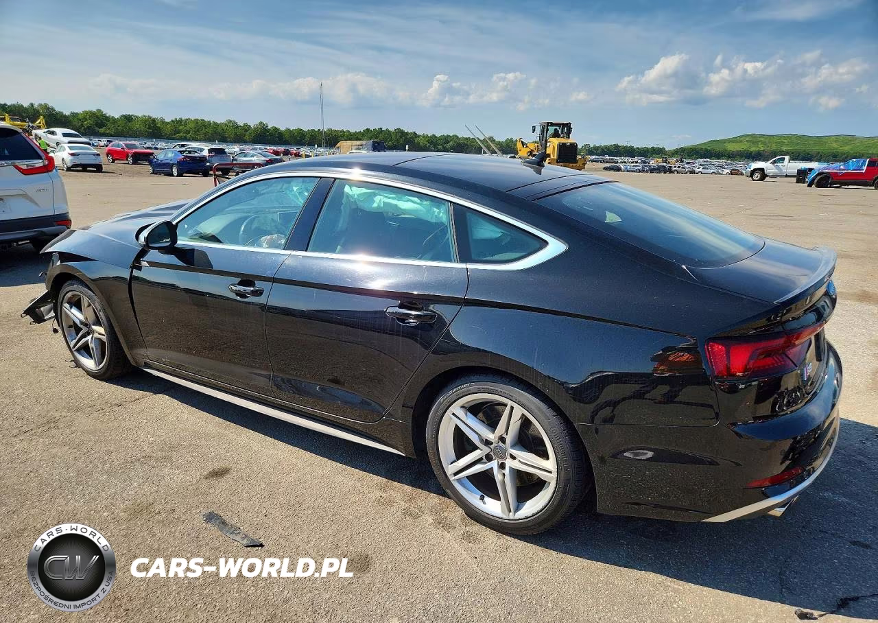 2019 Audi S5 Premium Plus VIN:WAUB4CF57KA016496 - 2