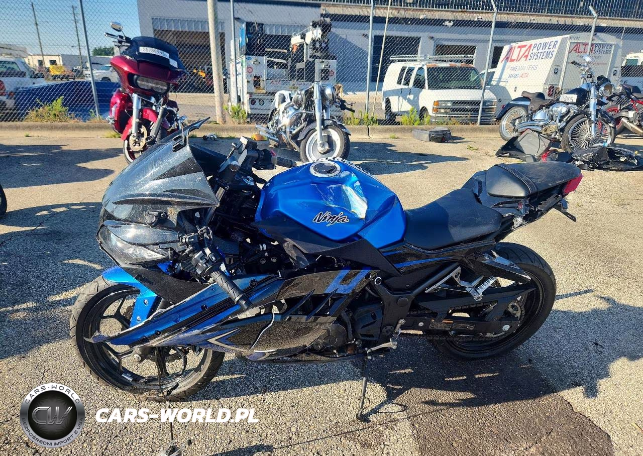 2017 Kawasaki Ex300 B VIN:JKAEX8B17HDA38641 - 3